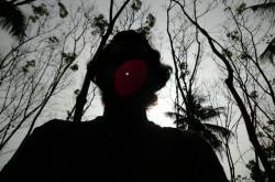 What I learnt in 6 Months through My Travel Experiences