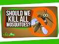 What If We Killed All The Mosquitoes In The World?