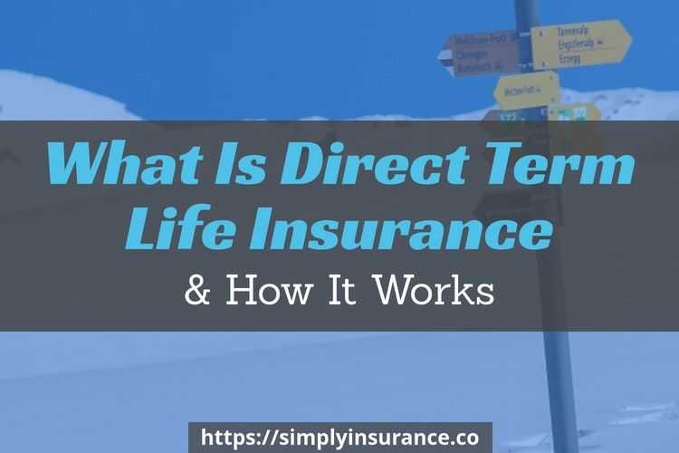 What Is Direct Term Life Insurance & (What It Means In 2018)