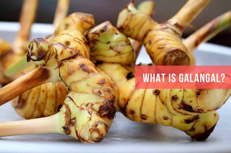 What Is Galangal? Here