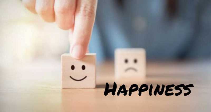 What Is Happiness ? · Pari