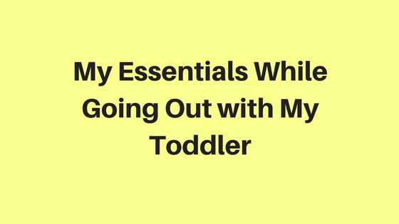 What Is In My Toddler Survival Kit?