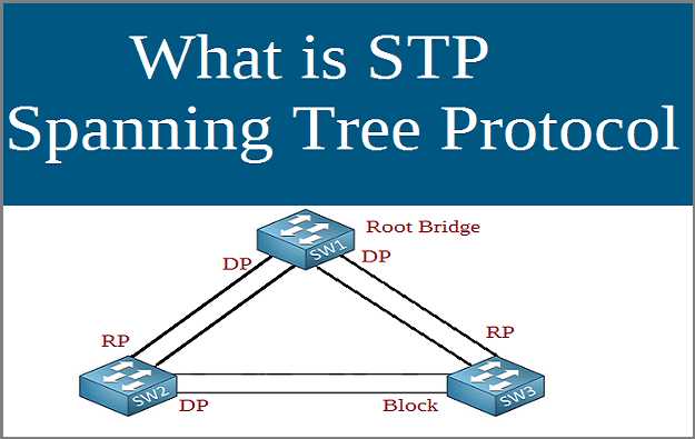 What Is STP (Spanning Tree Protocol) In Computer Networks | Technet 2U