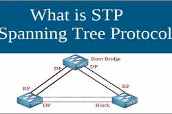 What Is STP (Spanning Tree Protocol) In Computer Networks | Technet 2U