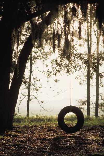 What Is Your Earliest Human Memory ?