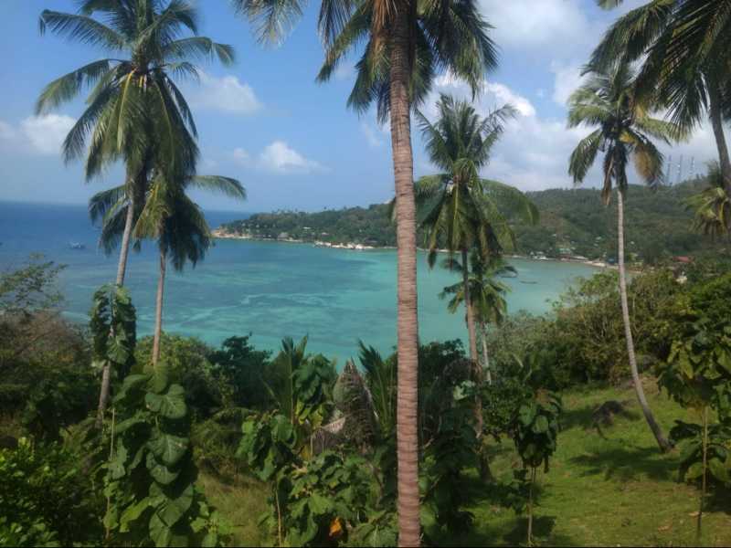 What Lies Below The Sea At Koh Tao, Thailand: I Took The Plunge | Wonder Wardrobes