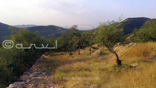 What Makes A Hike Along Dhok Tree Trail Alluring?