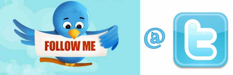 What Makes Twitter Special ?