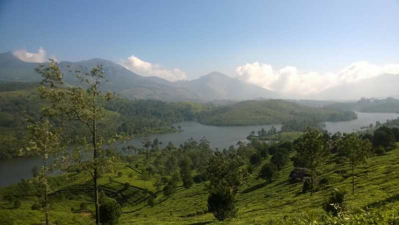 What Turns My Morning Golden- Striving For #Colgate360GoldMornings