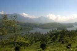 What Turns My Morning Golden- Striving for #Colgate360GoldMornings