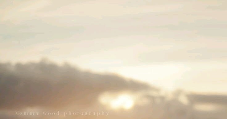 What A Social Animal Is Human In Problems!