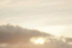 What a social animal is human in problems!