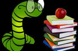 What am I doing now....?