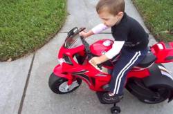 What are the best toy vehicles for kids and where to buy them?