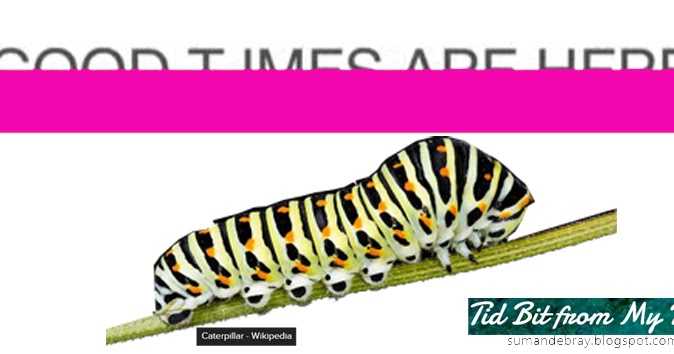 What Does Your Brain Say!