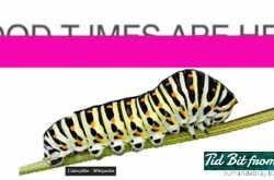 What does your brain say!