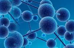 What genetic tests are done during pregnancy? | Science of Bio Genetics