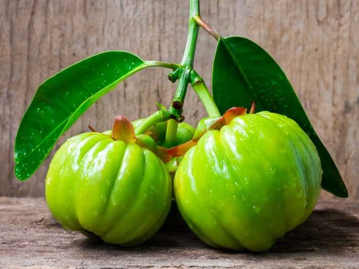 What Is Garcinia? How Does Garcinia Cambogia Work In Weight Loss?