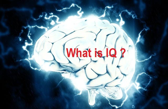 What Is IQ And Which Are The Most Commonly Used Tests To Measure IQ ?