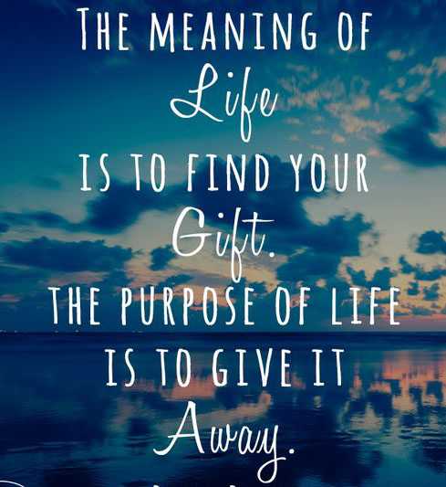 What  Is Life Purpose?