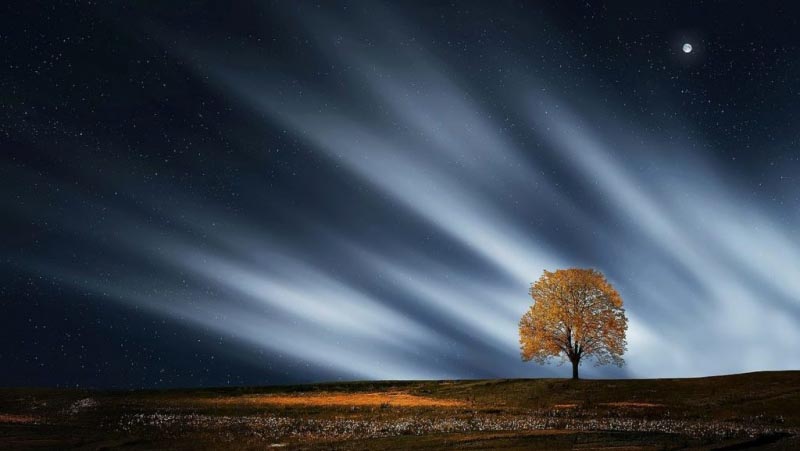 What Is OSA? What Is Hypopnea? Apnea Disease Explained