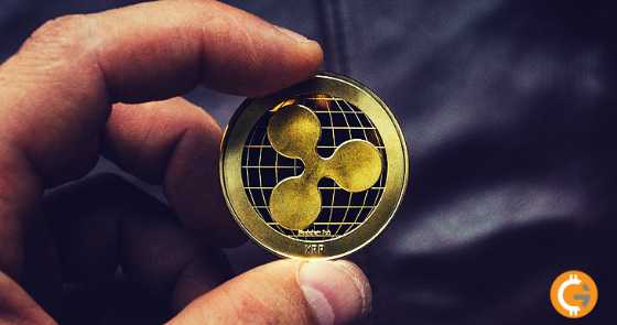 What Is Ripple? Everything That You Should Know