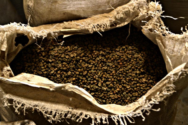 What Makes Your Coffee? From Coffee Cherry To Filter Kaapi