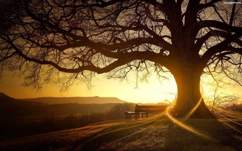 What’s A Decent Age To Die?