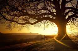 What’s a decent age to die?