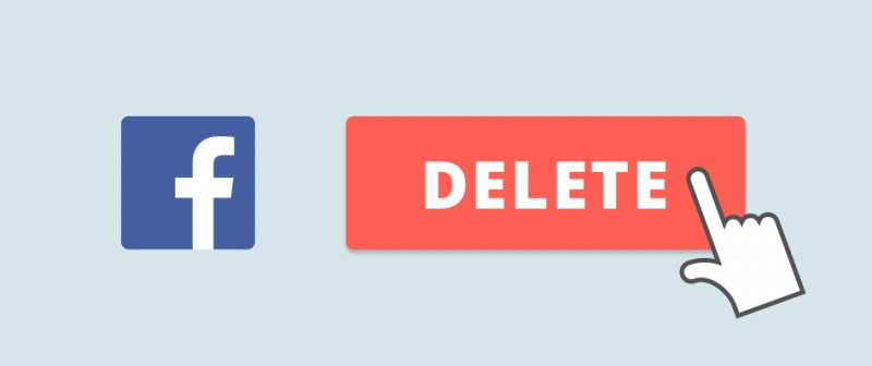 What’s Cooking Today?