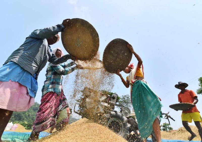 What Should India Eat?