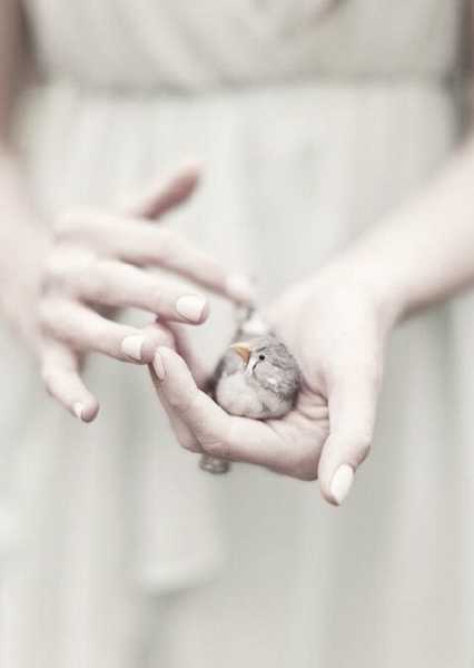 What Spring Does With The Cherry Trees.