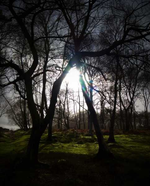 What They Didnt Teach You In Astronomy# Writephoto