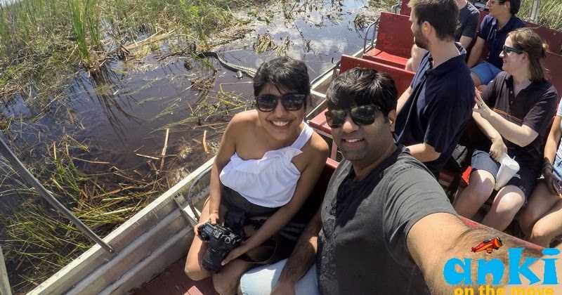 What To Do In Everglades | The Alligatorland Of Florida