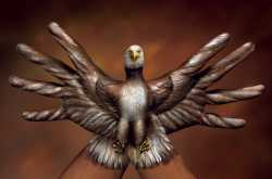 What wonders can your hands do?