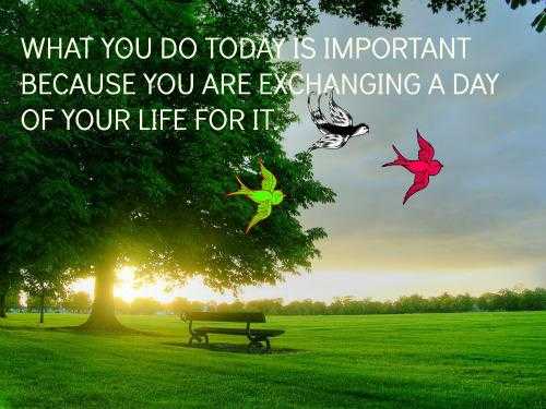 Whatever You Do Is IMportant...