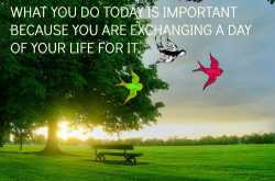 Whatever you do is IMportant...