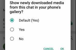 WhatsApp Gallery update saves phone space - soonev