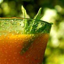 Wheatgrass Cocktail: The Ultimate Refresher