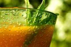 Wheatgrass Cocktail: The Ultimate Refresher