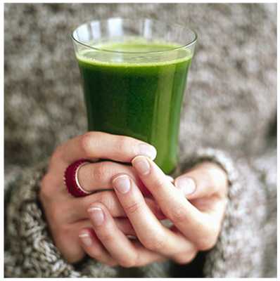 Wheatgrass: The Sprouts