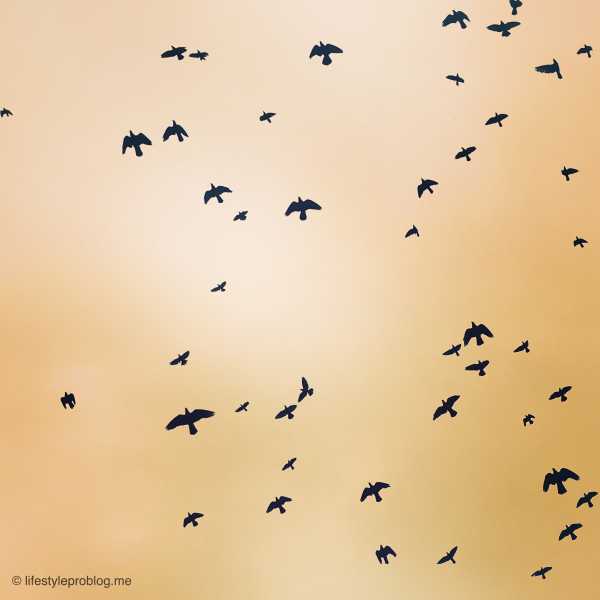 When Friendships Change