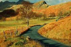 When Happiness Slipped ...