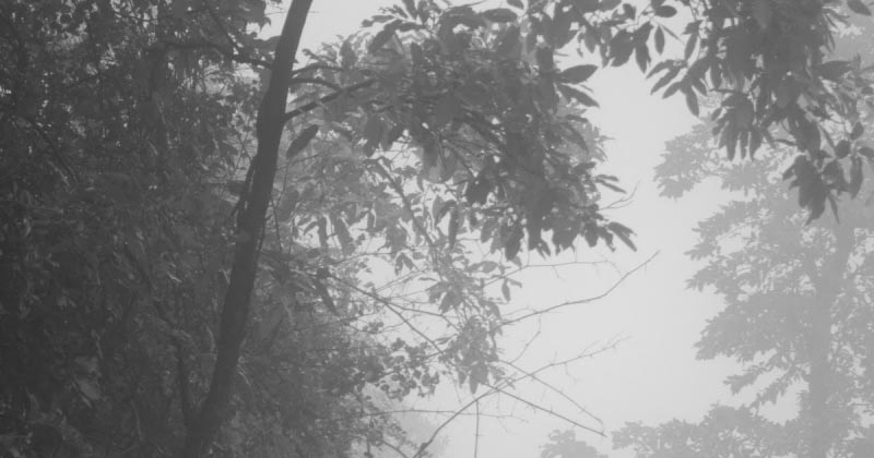 When I Miss My Family The Most