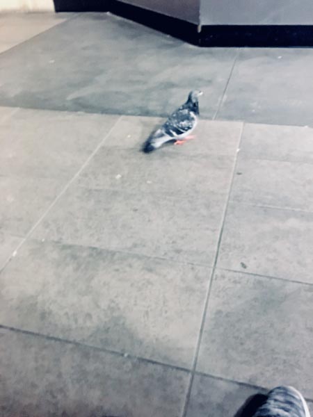 When I Miss My Train…