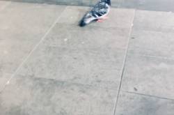 When I miss my train…