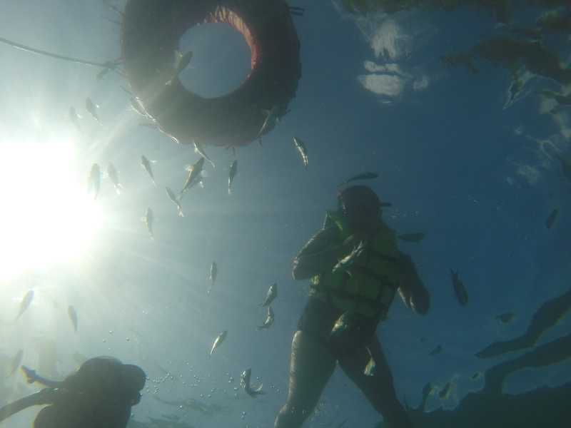 When I Screamed In Terror