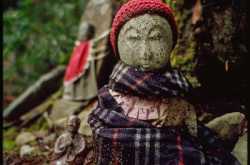 When Man becomes Stone...