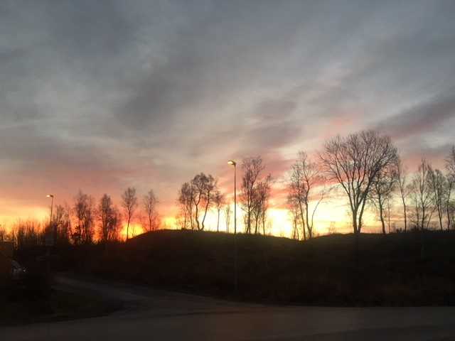 When Nature Celebrates Diwali