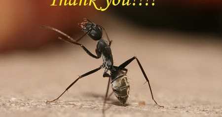 When Small Acts Of Kindness And Compassion Touch Your Heart!